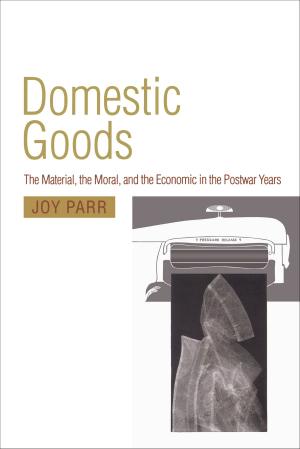 Cover of the book Domestic Goods by Eva Hemmungs Wirtén