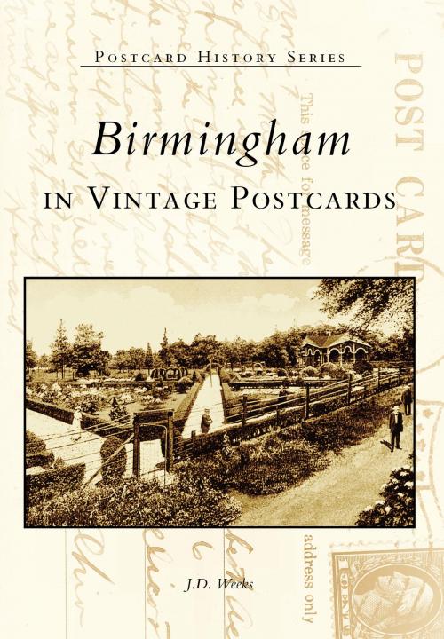 Cover of the book Birmingham in Vintage Postcards by J.D. Weeks, Arcadia Publishing Inc.