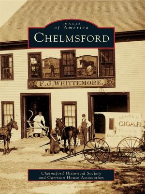 bigCover of the book Chelmsford by 