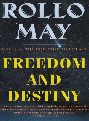 Cover of the book Freedom and Destiny by Ansar Haroun, David Naimark