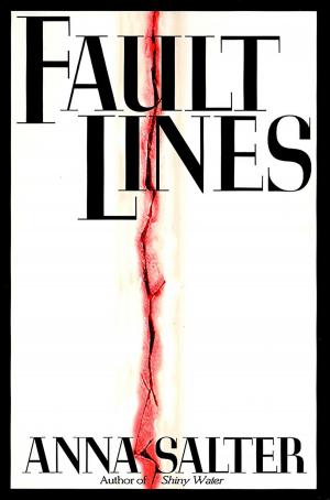 Cover of the book Fault Lines by Joshua Hood