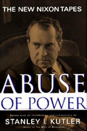 Cover of the book Abuse Of Power by Lewis MacAdams