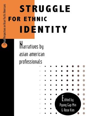 Cover of the book Struggle for Ethnic Identity by William E. Schmickle