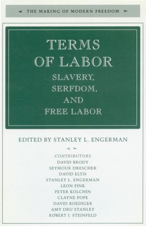 Cover of the book Terms of Labor by Terence C. Halliday, Bruce G. Carruthers