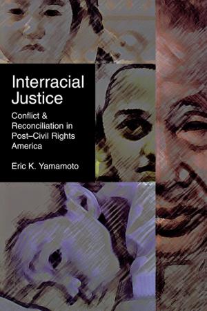 Cover of the book Interracial Justice by Benjamin Schreier