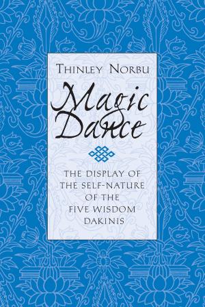 Cover of the book Magic Dance by Elizabeth Mattis Namgyel