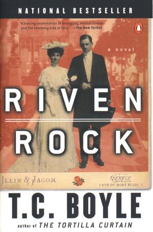 Cover of the book Riven Rock by Andrea Gibson