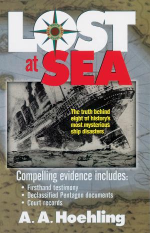 Cover of the book Lost at Sea by Susie Shellenberger