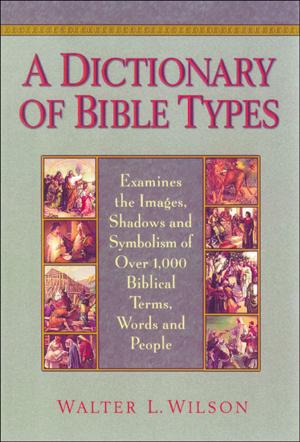 Book cover of A Dictionary of Bible Types