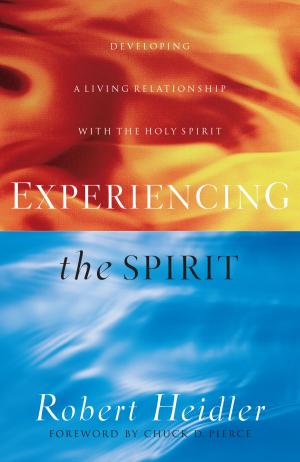 Cover of the book Experiencing the Spirit by Focus on the Family