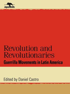 Cover of the book Revolution and Revolutionaries by David Wagner