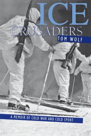 Cover of the book Ice Crusaders by Gerry Adams