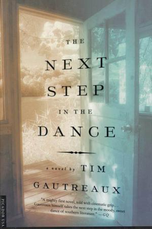 Book cover of The Next Step in the Dance