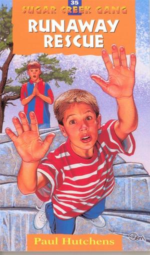 Cover of the book The Runaway Rescue by 