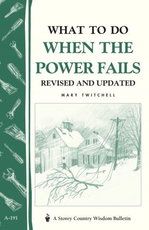 Cover of the book What to Do When the Power Fails by Stephanie L. Tourles