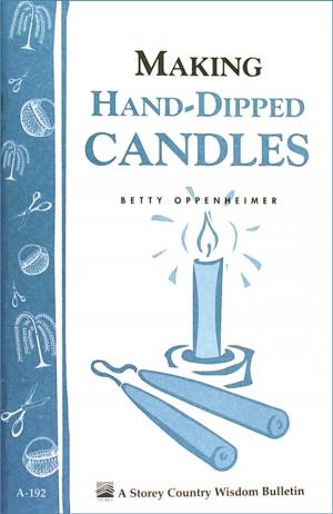 Cover of the book Making Hand-Dipped Candles by Lauren Chattman