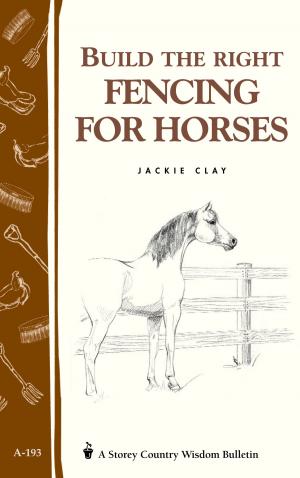 Cover of the book Build the Right Fencing for Horses by Mary Peddie, Judy Lewis, John Lewis