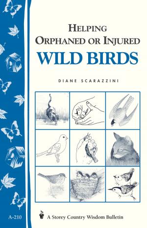 Cover of the book Helping Orphaned or Injured Wild Birds by Hannah Fries