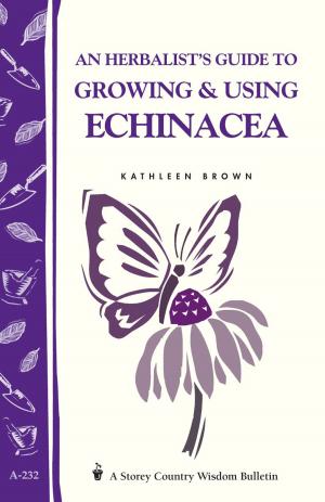 Cover of the book An Herbalist's Guide to Growing & Using Echinacea by Jec Aristotle Ballou, Stephanie Boyles