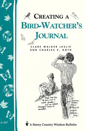 Book cover of Creating a Bird-Watcher's Journal