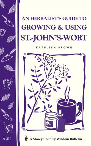 Cover of the book An Herbalist's Guide to Growing & Using St.-John's-Wort by Victoria H. Edwards