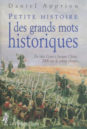 Book cover of Petite histoire des grands mots historiques