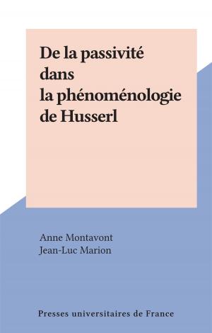 Cover of the book De la passivité dans la phénoménologie de Husserl by Gérard Timsit