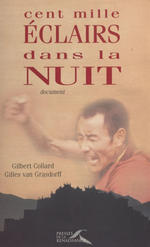 Cover of the book Cent mille éclairs dans la nuit by Dominique Reynié
