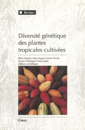 Book cover of Diversité génétique des plantes tropicales cultivées