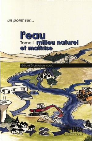 Cover of the book L'eau by Laurence Bérard, Marie Cegarra, Marcel Djama, Sélim Louafi, Philippe Marchenay, Bernard Roussel, François Verdeaux