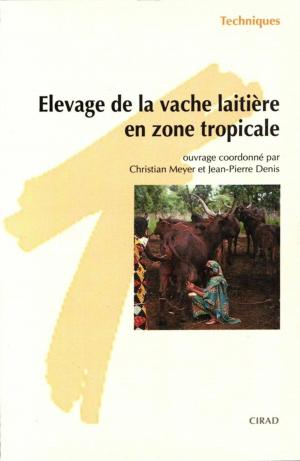 Cover of the book Élevage de la vache laitière en zone tropicale by Louis Fahrasmane, Berthe Ganou-Parfait