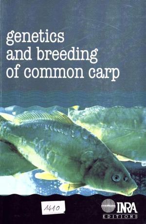 Cover of the book Genetics and breeding of common carp by Nicole Mathieu, Yves Guermond