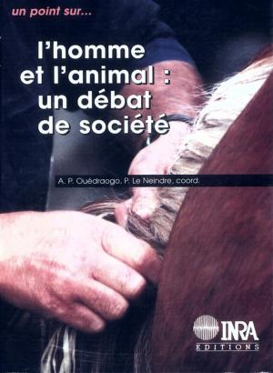 Cover of the book L'homme et l'animal by Pierre Feillet