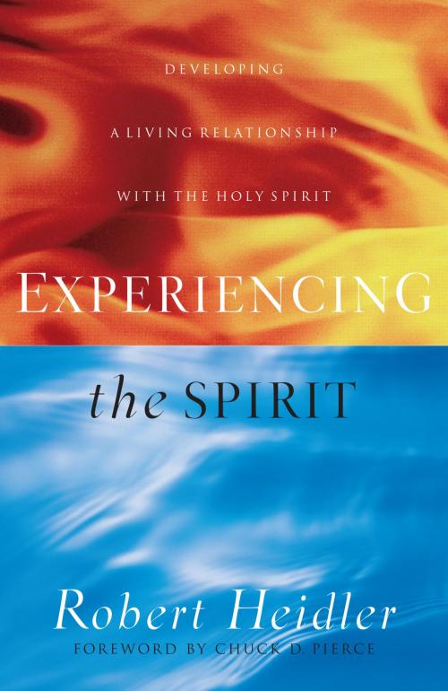 Cover of the book Experiencing the Spirit by Robert Heidler, Baker Publishing Group
