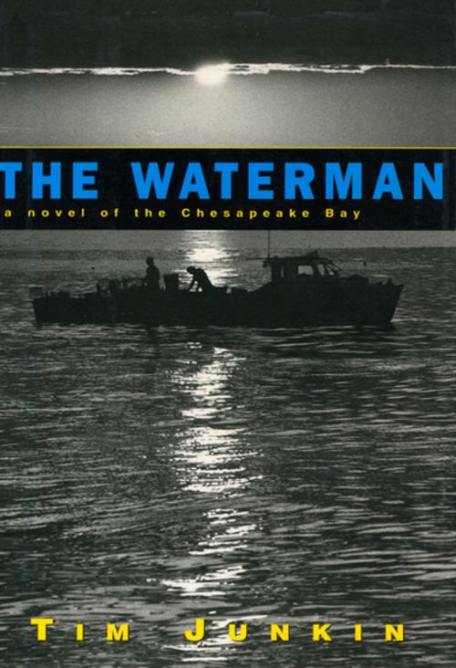Cover of the book The Waterman by Tim Junkin, Workman Publishing