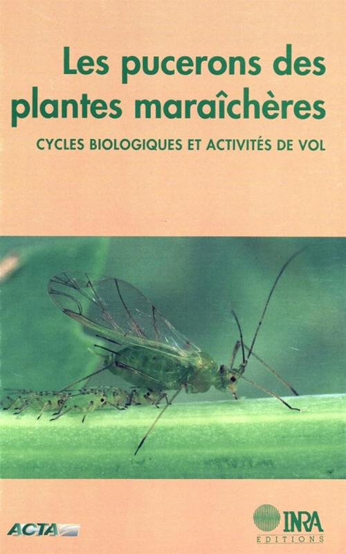 Cover of the book Les pucerons des plantes maraîchères by Maurice Hullé, Evelyne Turpeau-Ait Ighil, Yvon Robert, Yves Monnet, Quae