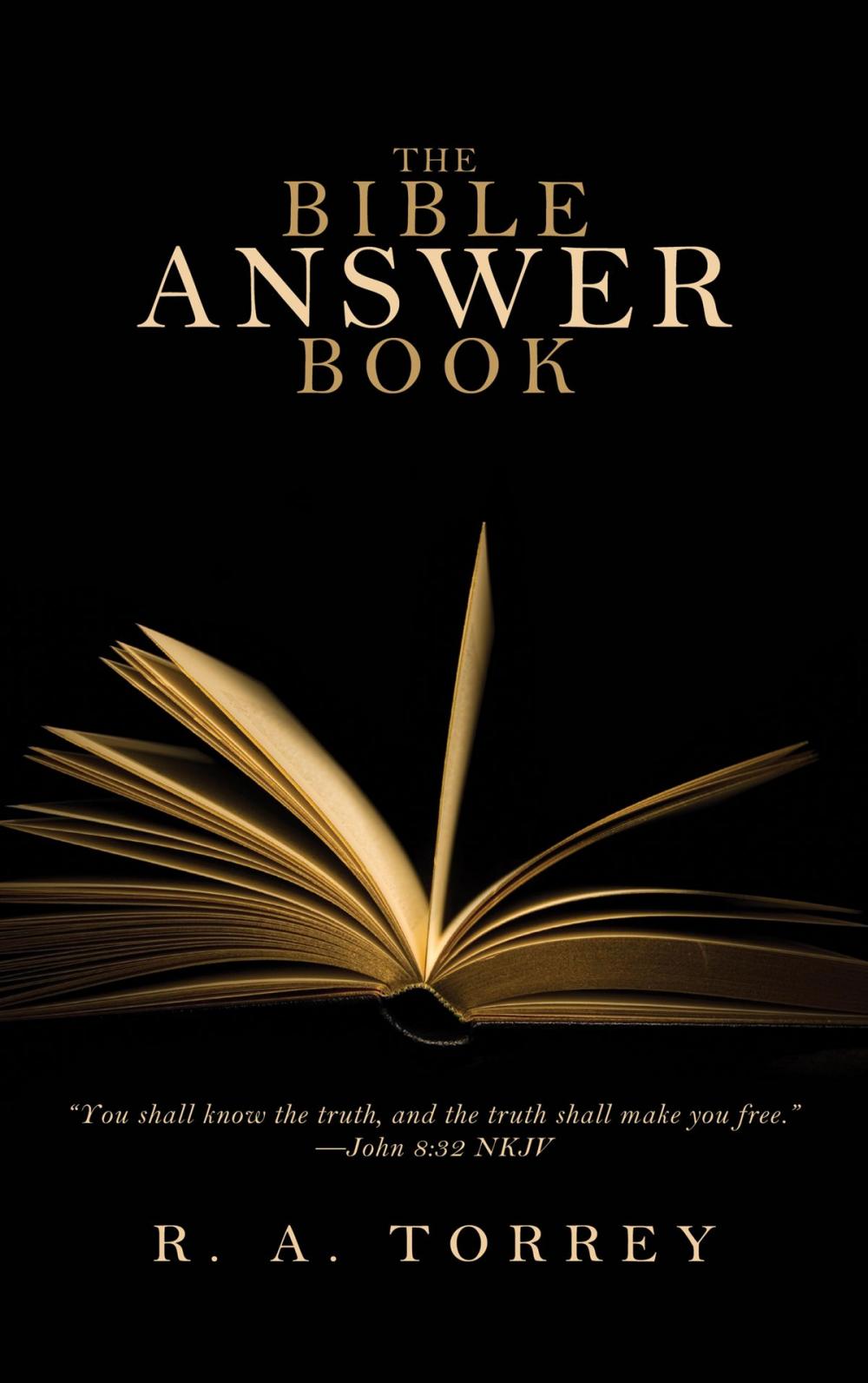 Big bigCover of The Bible Answer Book