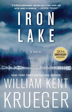 Cover of the book Iron Lake (20th Anniversary Edition) by K.A. Tucker