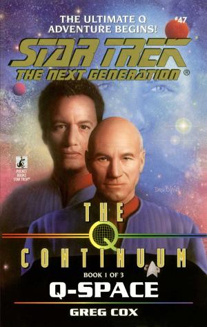 Cover of the book The Q Continuum: Book One: Q-Space by Kathleen S. Allen