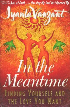 Cover of the book In the Meantime by Claudio Graziano, Giuseppe Vercelli
