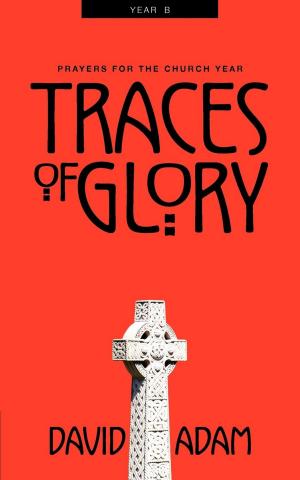 Cover of the book Traces of Glory by Patrick S. Cheng