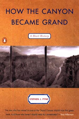 bigCover of the book How the Canyon Became Grand by 