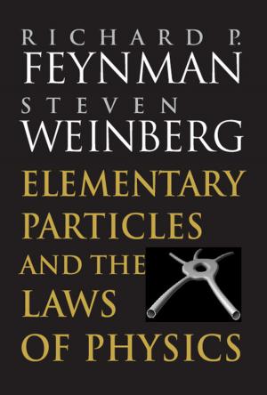 Book cover of Elementary Particles and the Laws of Physics