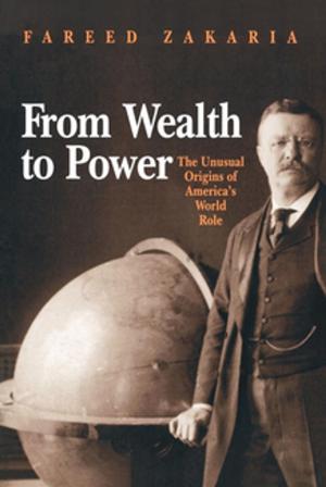 Book cover of From Wealth to Power