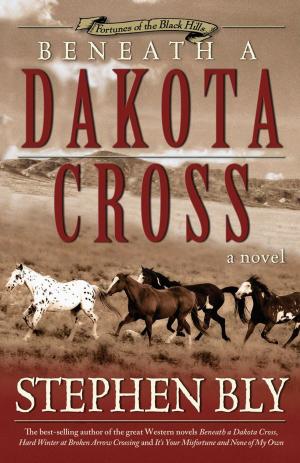 Book cover of Beneath a Dakota Cross (Fortunes of the Black Hills, Book 1)