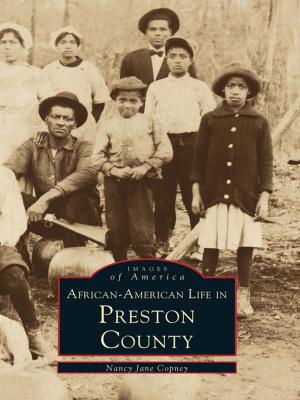 Cover of the book African-American Life in Preston County by Massimo Guerriero