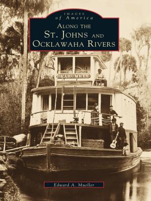 Cover of the book Along the St. Johns and Ocklawaha Rivers by Thomas White, Edward White