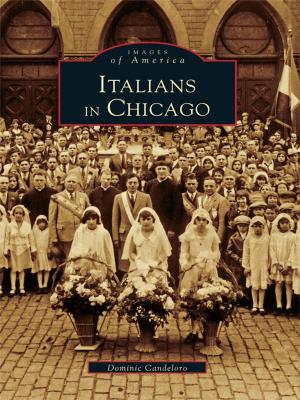 Cover of the book Italians in Chicago by Arthur Carlson, Elizabeth Brooke Tolar, John Allen Tucker
