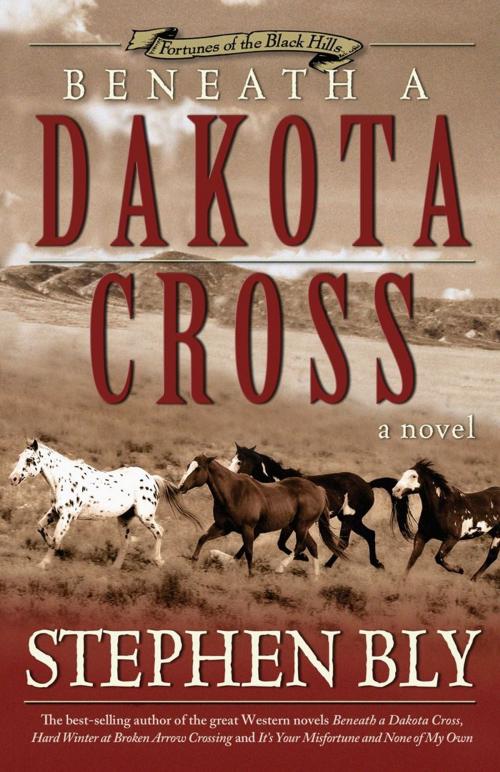 Cover of the book Beneath a Dakota Cross (Fortunes of the Black Hills, Book 1) by Stephen  A. Bly, B&H Publishing Group