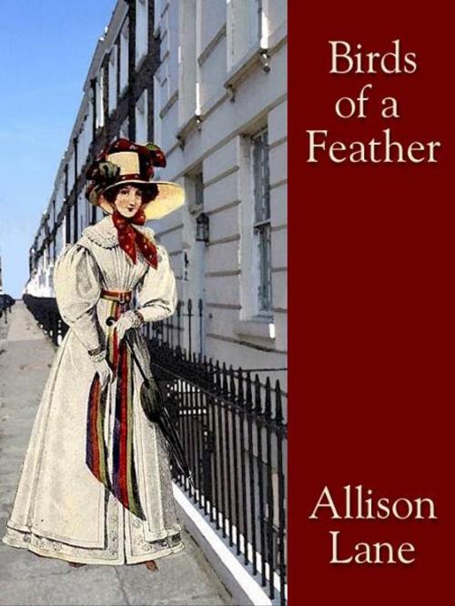 Cover of the book Birds of a Feather by Allison Lane, Belgrave House